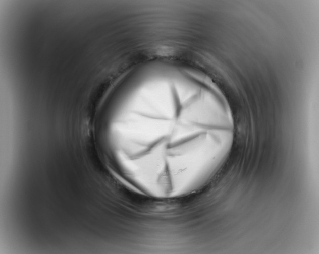 X0000095920555200802081115