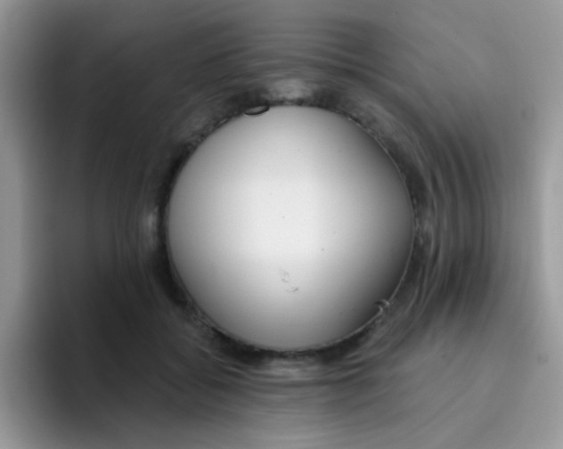 X0000095920556200802081115