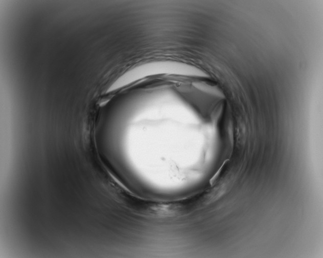 X0000095920558200802081115