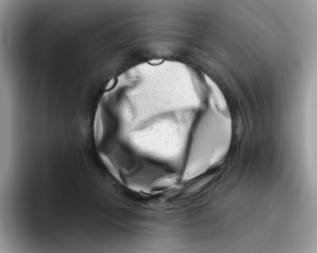 X0000095920559200802081115