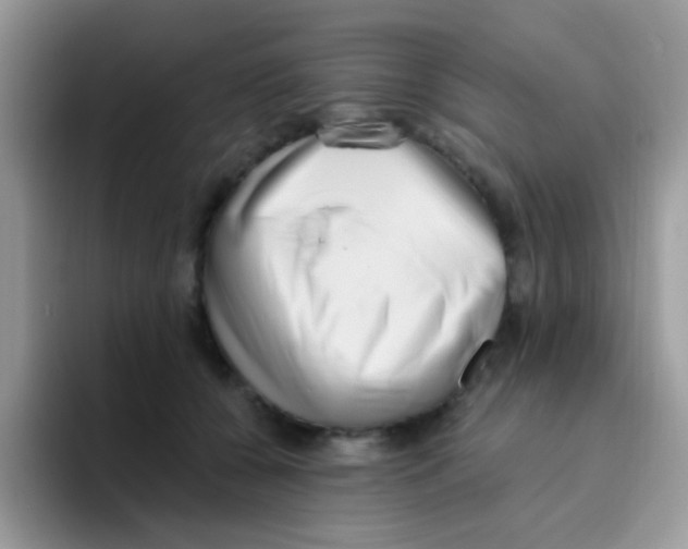 X0000095920560200802081115