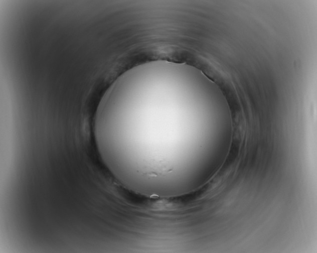 X0000095920562200802081115