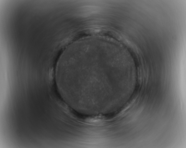 X0000095920563200802081115