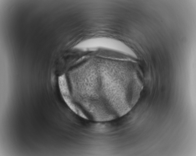 X0000095920566200802081115