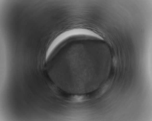 X0000095920570200802081115