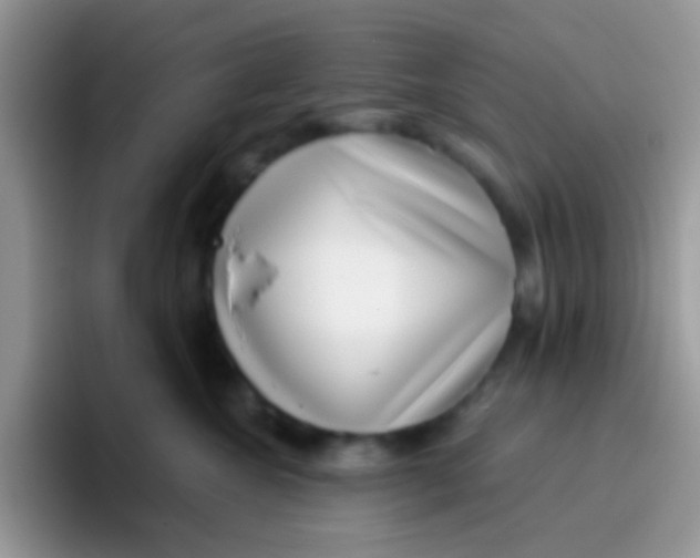 X0000095920572200802081116