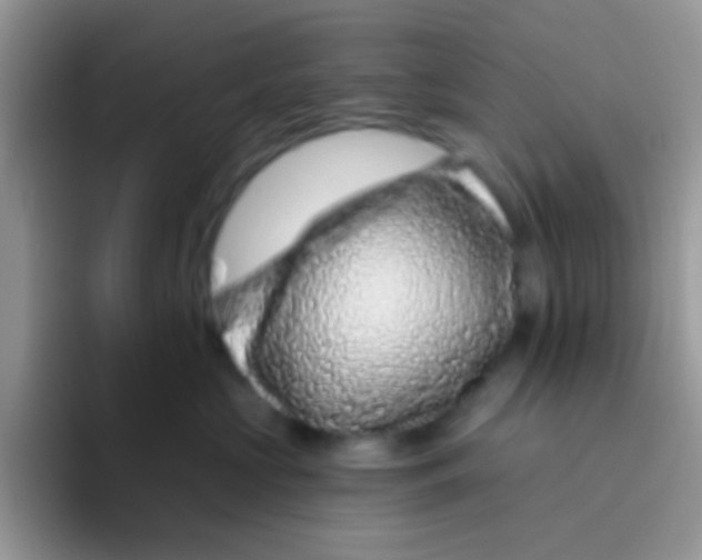 X0000095920573200802081116