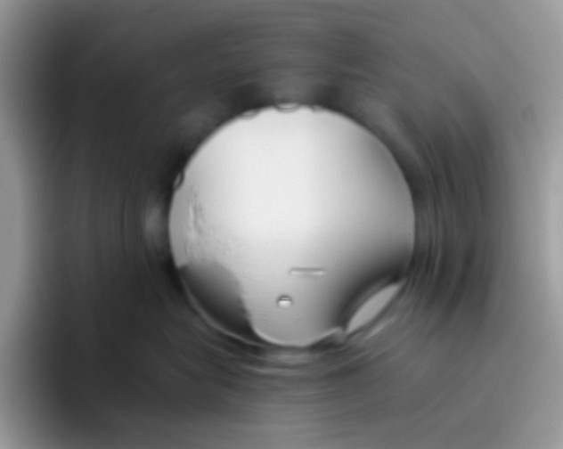 X0000095920575200802081116