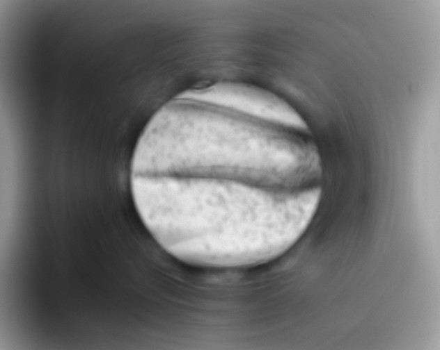 X0000095920576200802081116