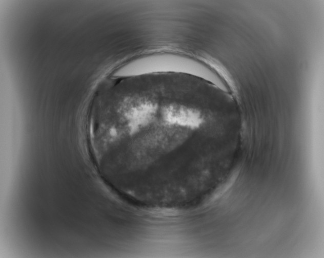 X0000095920577200802081115