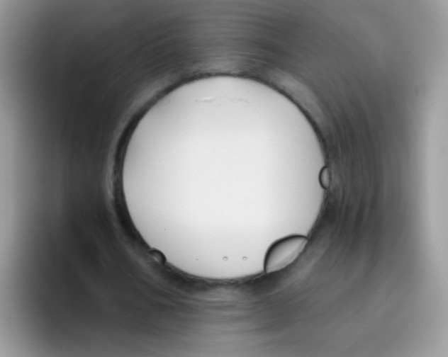 X0000095920578200802081115