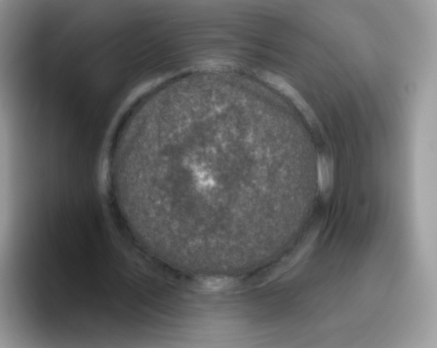 X0000095920579200802081115