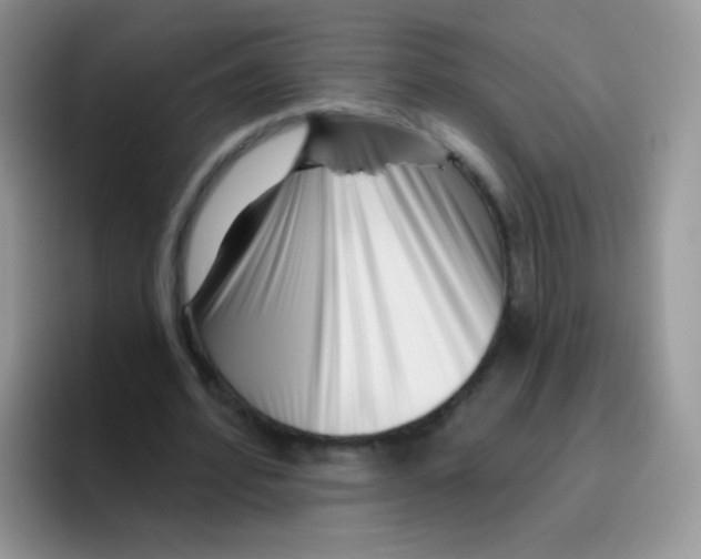 X0000095920580200802081115