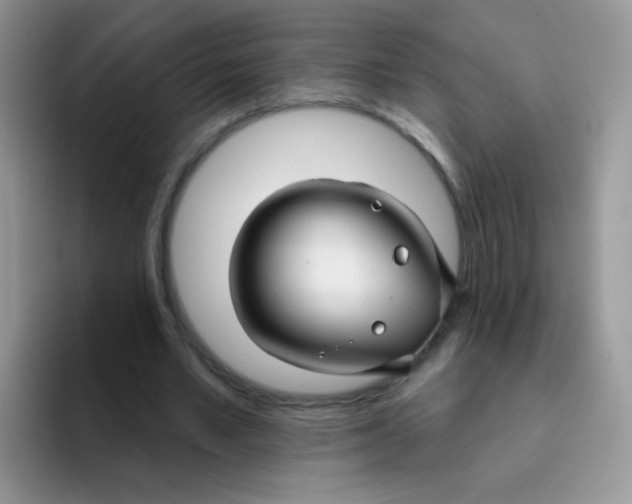 X0000095920581200802081115