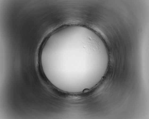 X0000095920582200802081115