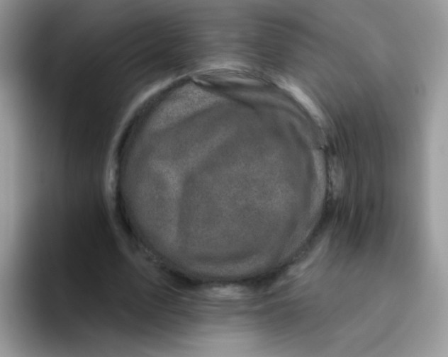 X0000095920583200802081115