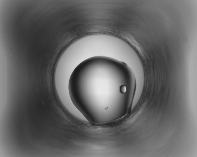 X0000095920585200802081115