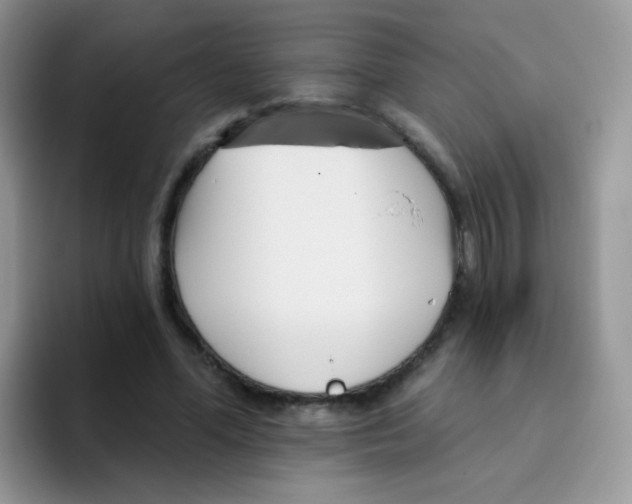 X0000095920588200802081115