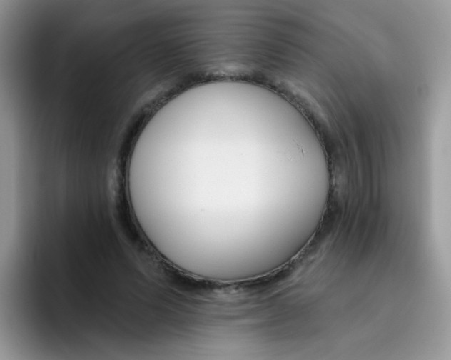 X0000095920591200802081115