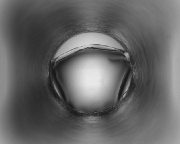 X0000095920593200802081115