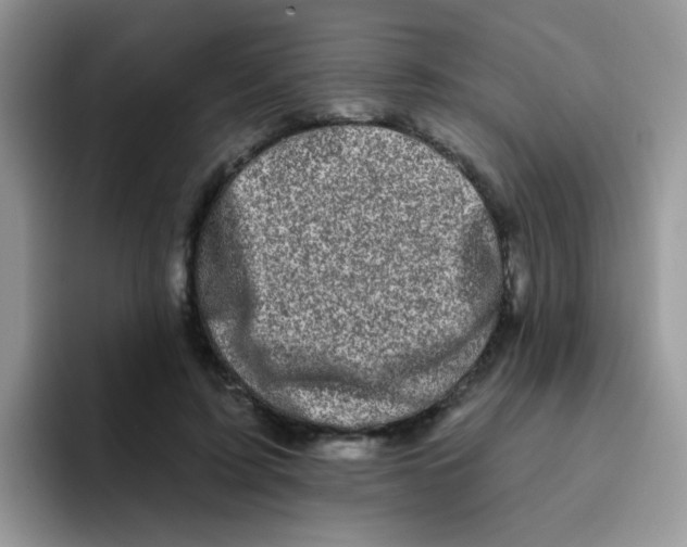 X0000095920595200802081115