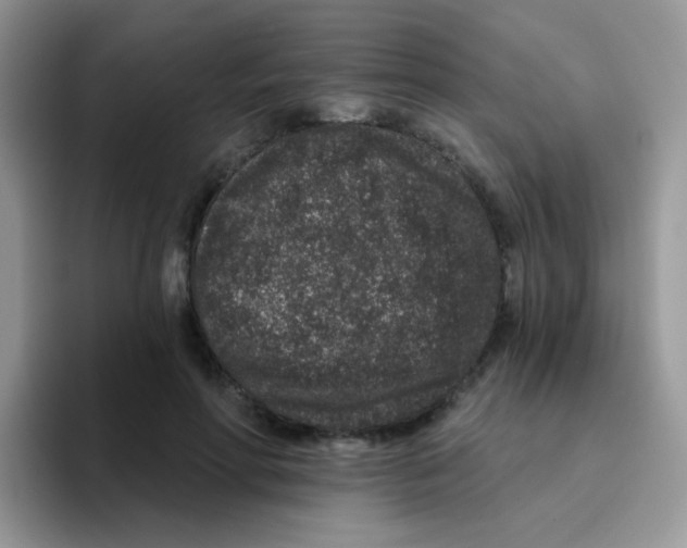 X0000095920598200802081115