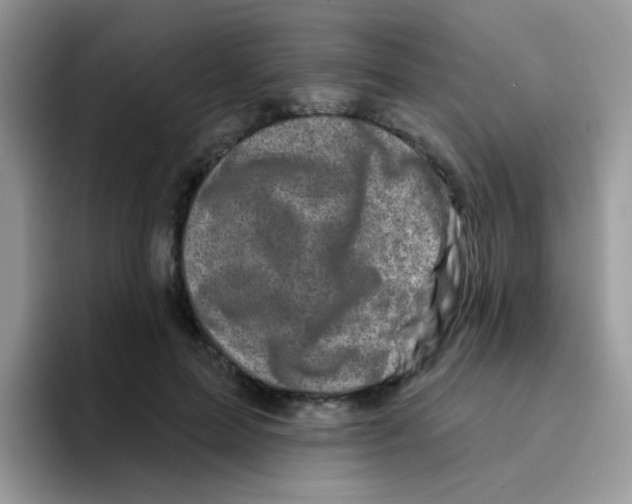 X0000095920599200802081115