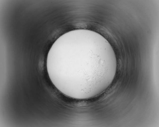 X0000095920600200802081115