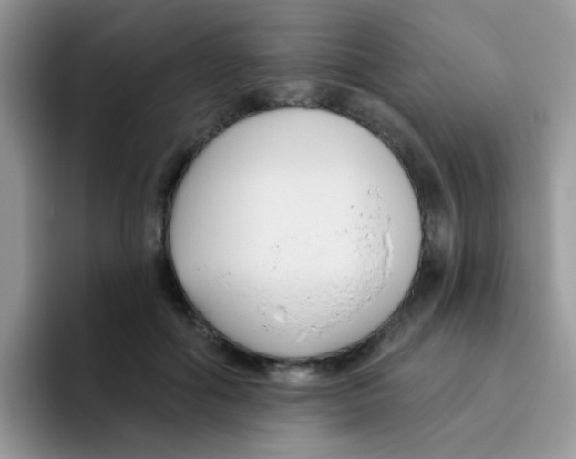 X0000095920602200802081115