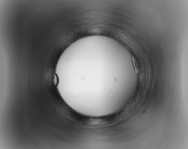 X0000095920605200802081115