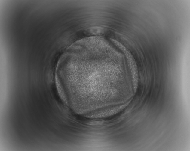 X0000095920606200802081115