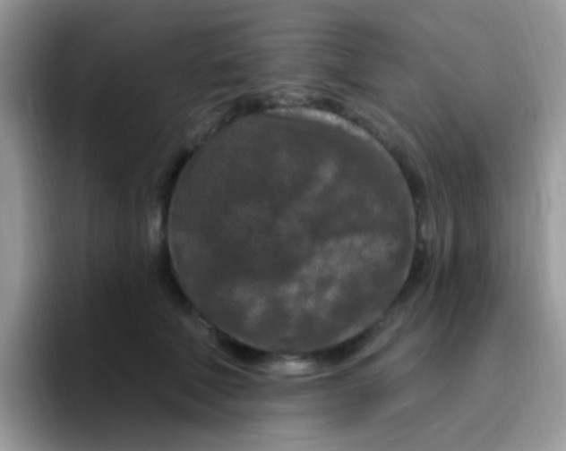 X0000095920610200802081114