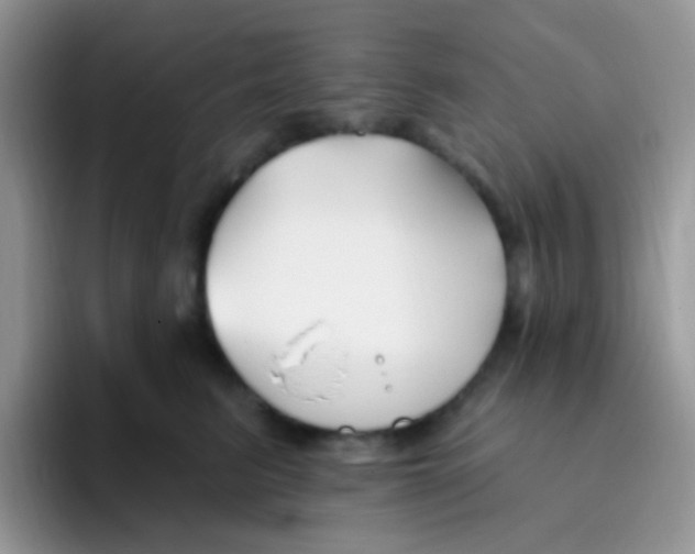 X0000095920615200802081114