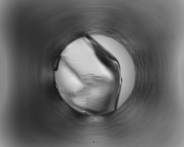 X0000095920617200802081114