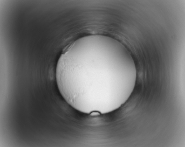 X0000095920620200802081114