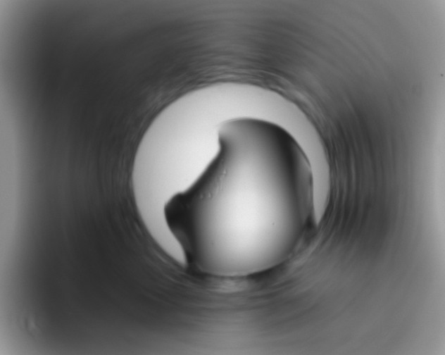 X0000095920621200802081114