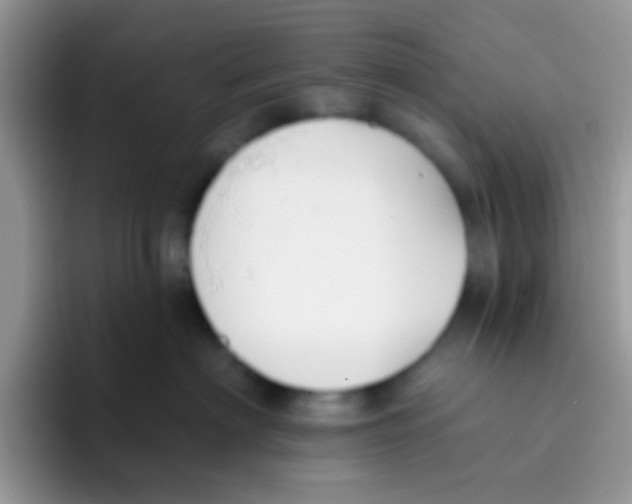 X0000095920622200802081114