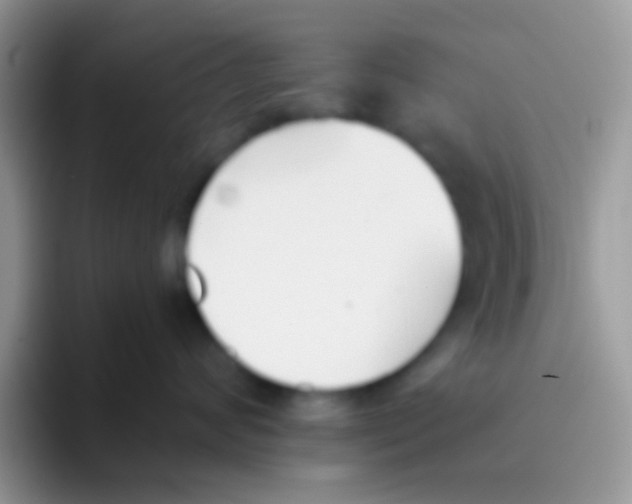 X0000095920624200802081114