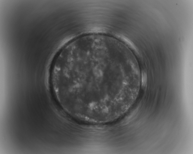 X0000095920627200802081114