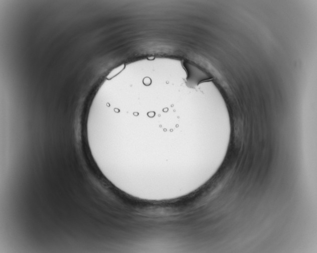 X0000095920629200802081114