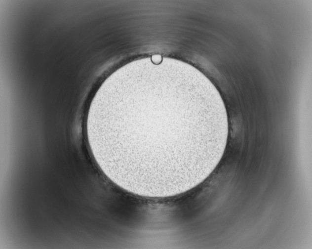 X0000095920632200802081114