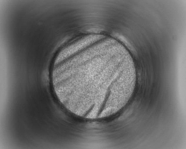 X0000095920634200802081114