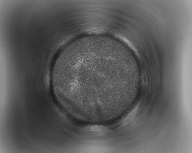 X0000095920637200802081114