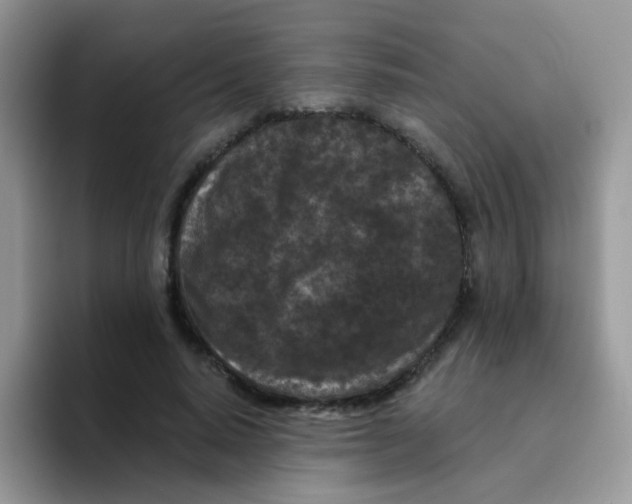 X0000095920640200802081114