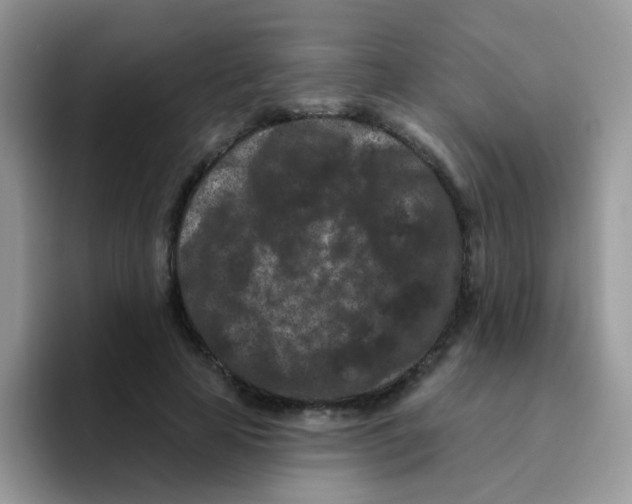 X0000095920641200802081114