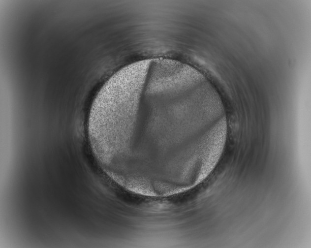 X0000095920642200802081114