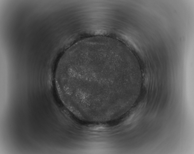 X0000095920643200802081114