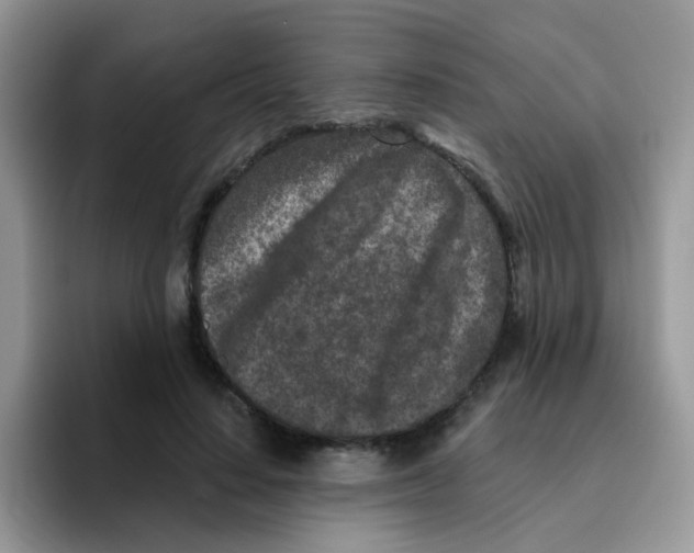 X0000095920644200802081114