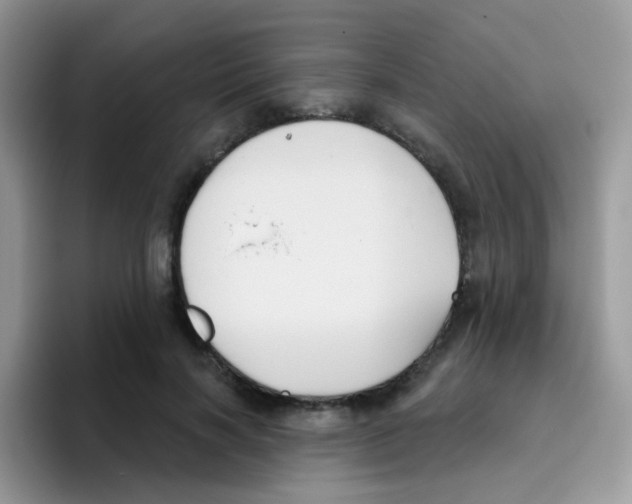 X0000095920646200802081114