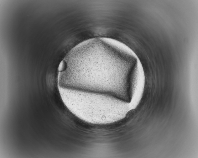 X0000095920648200802081114